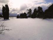 Top Halltorp