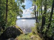 Top Rörvik