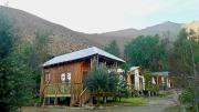Top Vicuna