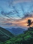 Top Vagamon