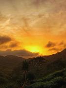 Top Vagamon