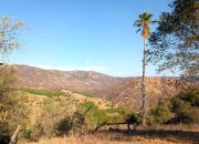 Top Escondido