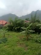 WangLee Guesthouse