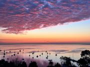 Top Geelong