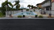 Top Kissimmee