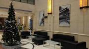 Top Dongguan