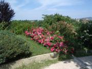 Top Monsampolo del Tronto