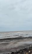 Top Alibaug