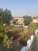 Top As-Suwajra