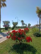 Top Porto SantʼElpidio