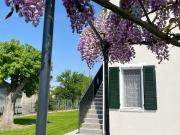 Top Rovigo