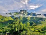 Top Dồng Văn
