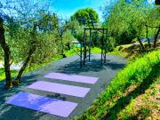 Top Pescia