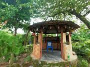 Top Bhagaura