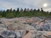 Top Grisslehamn