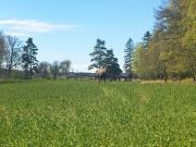 Top Lidköping