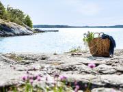 Top Ödsmål