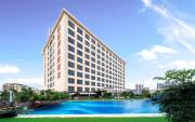 Top Shajing