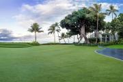 Top Wailea