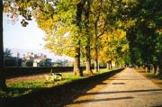 Top Lucca
