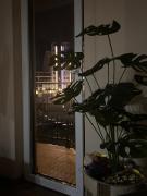 Apartman Lily