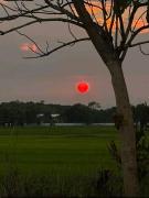 Top Ban Mae Pha Haen
