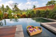 Top Ubud