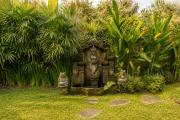 Top Ubud