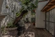 Casa Mezquite