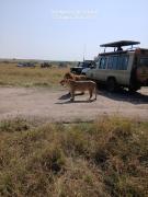 Top Mara Simba