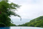 Alamar