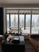 Falken Mountain Lodge - 90 m2 ski-in & out, fireplace, sauna and views