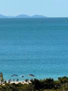 Top Florianópolis