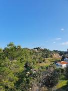 Top Alzira