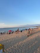 Top Hampton Bays