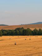 Top Sarteano