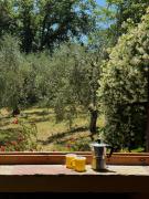 Top Sarteano