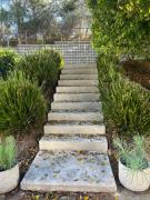 Top Erina East