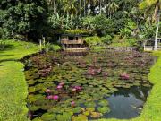 Nancys Fishpond Cabin
