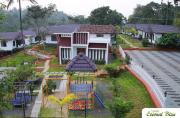 Top Vythiri