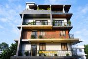 Top Cochin Top Cochin