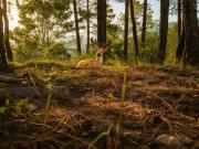 Top Dharampur