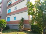 Top Carrara