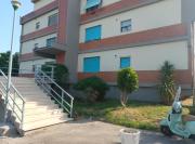 Top Carrara