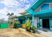 Top Palayangan