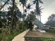 Top Vangani