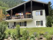 Top Fiesch