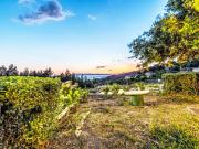 Top Podgora