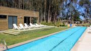 Top Algarrobo