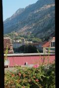 Top Kotor